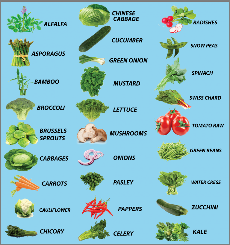 NonStarchy Veggies Health Style For Life